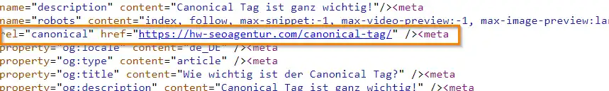 Canonical Tag im Quellcode finden